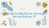 Giải bài tập SGK Sinh học 10 Bài 30: Sự nhân lên của virut trong tế bào chủ