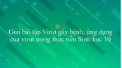 Giải bài tập SGK Sinh học 10 Bài 31: Virut gây bệnh, ứng dụng của virut trong thực tiễn