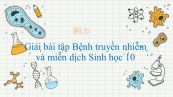 Giải bài tập SGK Sinh học 10 Bài 32: Bệnh truyền nhiễm và miễn dịch