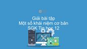 Giải bài tập SGK Tin học 12 Bài 1: Một số khái niệm cơ bản