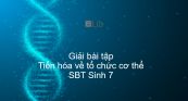 Giải SBT Sinh 7 Bài 54: Tiến hóa về tổ chức cơ thể