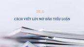 Cách viết lời mở đầu tiểu luận