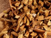 Tần giao - Chữa phong thấp đau khớp, gân mạch co rút, sốt