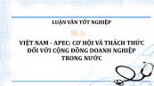 Luận văn: Việt Nam- APEC: cơ hội và thách thức đối với cộng đồng doanh nghiệp trong nước