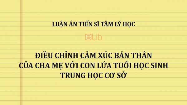 Luận án TS: Điều chỉnh cảm xúc bản thân của cha mẹ với con lứa tuổi học sinh trung học cơ sở