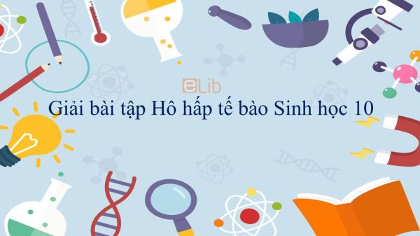 Giải bài tập SGK Sinh học 10 Bài 16: Hô hấp tế bào