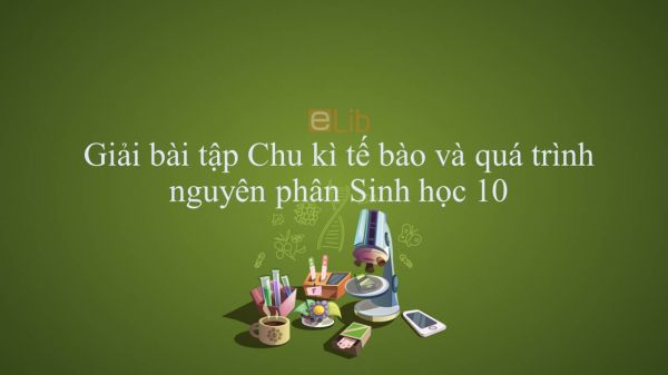 Giải bài tập SGK Sinh học 10 Bài 18: Chu kì tế bào và quá trình nguyên phân