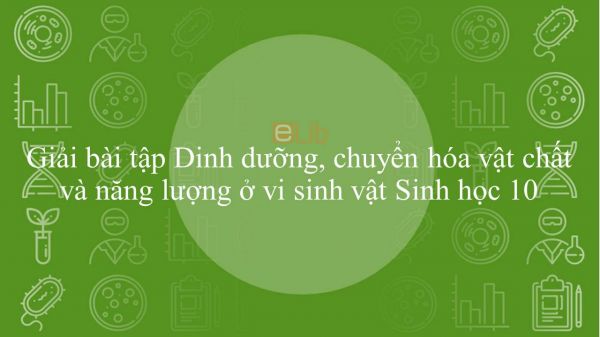 Giải bài tập SGK Sinh học 10 Bài 22: Dinh dưỡng, chuyển hóa vật chất và năng lượng ở vi sinh vật