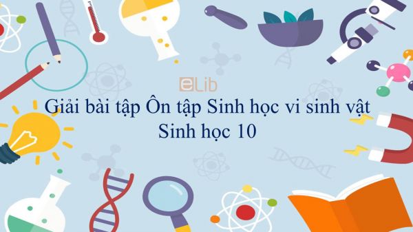 Giải bài tập SGK Sinh học 10 Bài 33: Ôn tập Sinh học vi sinh vật