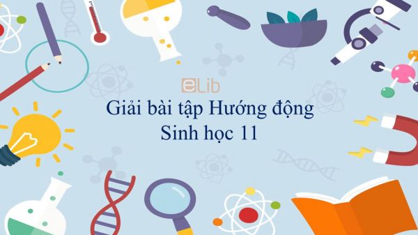 Giải bài tập SGK Sinh học 11 Bài 23: Hướng động