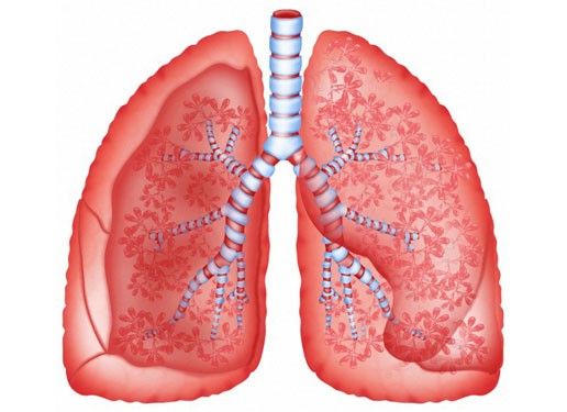 Bệnh phổi bụi bông - Triệu chứng, nguyên nhân và cách điều trị