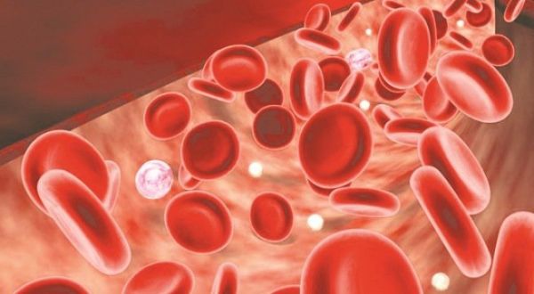 Bệnh thiếu máu do thiếu sắt - Triệu chứng, nguyên nhân và cách điều trị