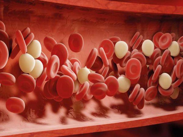 Bệnh thiếu máu nguyên bào sắt không đáp ứng với pyridoxine tính trạng lặn - Triệu chứng, nguyên nhân và cách điều trị