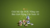 Giải bài tập SGK Sinh học 10 Nâng Cao Bài 5: Giới động vật