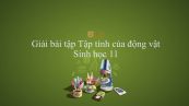 Giải bài tập SGK Sinh học 11 Bài 31: Tập tính của động vật
