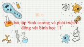 Giải bài tập SGK Sinh học 11 Bài 37: Sinh trưởng và phát triển ở động vật