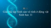 Giải bài tập SGK Sinh học 11 Bài 44: Sinh sản vô tính ở động vật