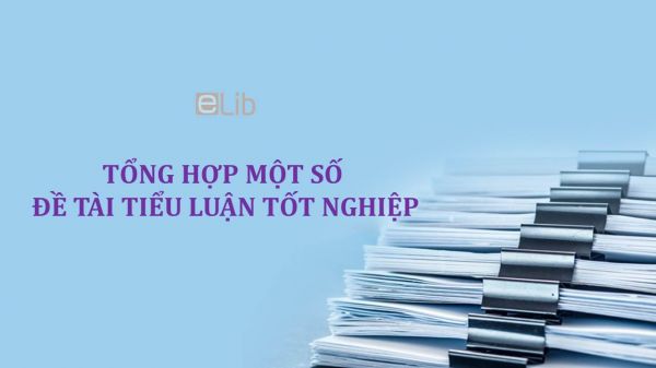 Tổng hợp một số đề tài tiểu luận tốt nghiệp