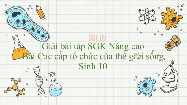 Giải bài tập SGK Sinh học 10 Nâng Cao Bài 1: Các cấp tổ chức của thế giới sống