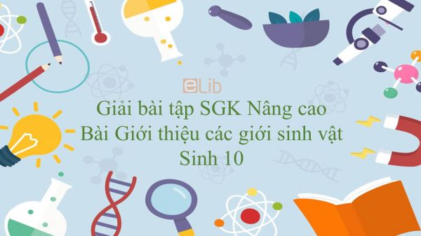 Giải bài tập SGK Sinh học 10 Nâng Cao Bài 2: Giới thiệu các giới sinh vật