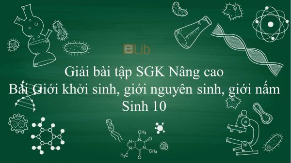 Giải bài tập SGK Sinh học 10 Nâng Cao Bài 3: Giới khởi sinh, giới nguyên sinh, giới nấm