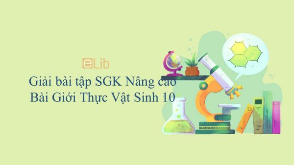 Giải bài tập SGK Sinh học 10 Nâng Cao Bài 4: Giới thực vật