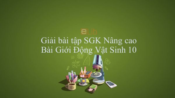 Giải bài tập SGK Sinh học 10 Nâng Cao Bài 5: Giới động vật