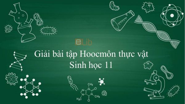 Giải bài tập SGK Sinh học 11 Bài 35: Hoocmôn thực vật