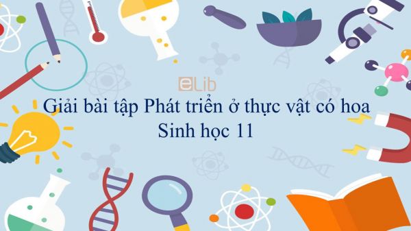 Giải bài tập SGK Sinh học 11 Bài 36: Phát triển ở thực vật có hoa