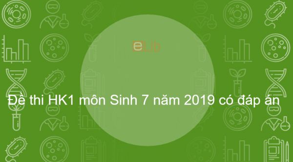 10 đề thi Học kì 1 môn Sinh lớp 6 năm 2019 có đáp án