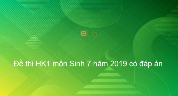 10 đề thi Học kì 1 môn Sinh lớp 7 năm 2019 có đáp án