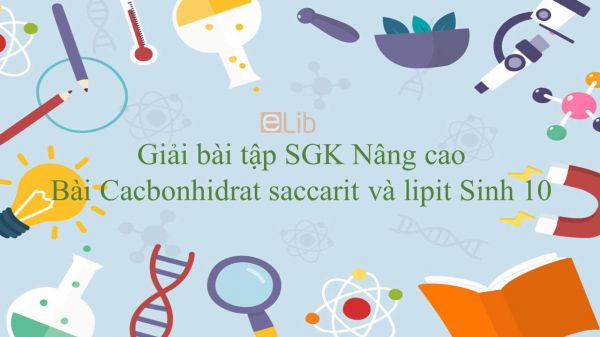 Giải bài tập SGK Sinh học 10 Nâng Cao Bài 8: Cacbonhidrat saccarit và lipit