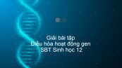 Giải SBT Sinh 12 Bài 3: Điều hòa hoạt động gen