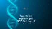 Giải SBT Sinh 12 Bài 4: Đột biến gen