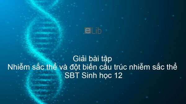 Giải SBT Sinh 12 Bài 5: Nhiễm sắc thể và đột biến cấu trúc nhiễm sắc thể