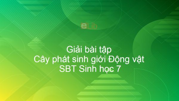 Giải SBT Sinh 7 Bài 56: Cây phát sinh giới Động vật