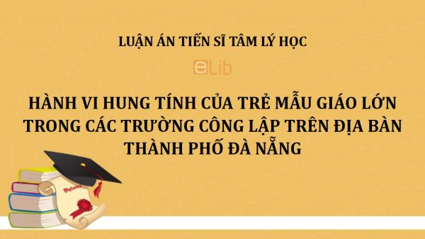 Luận án TS: Hành vi hung tính của trẻ mẫu giáo lớn trong các trường công lập trên địa bàn thành phố Đà Nẵng