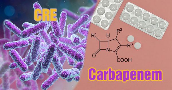 Bệnh nhiễm vi khuẩn kháng Carbapenem - Triệu chứng, nguy cơ và cách điều trị