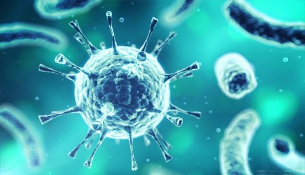 Bệnh nhiễm virus hợp bào hô hấp - Triệu chứng, nguyên nhân và cách điều trị