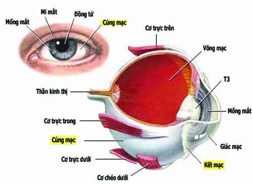 Bệnh viêm củng mạc - Triệu chứng, nguyên nhân và cách điều trị