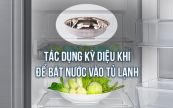 Điều đặc biệt sẽ xuất hiện khi bạn đặt bát nước trong tủ lạnh mỗi đêm