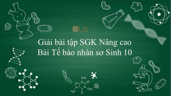 Giải bài tập SGK Sinh học 10 Nâng Cao Bài 13: Tế bào nhân sơ