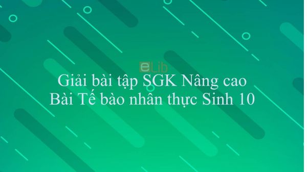 Giải bài tập SGK Sinh học 10 Nâng Cao Bài 14: Tế bào nhân thực