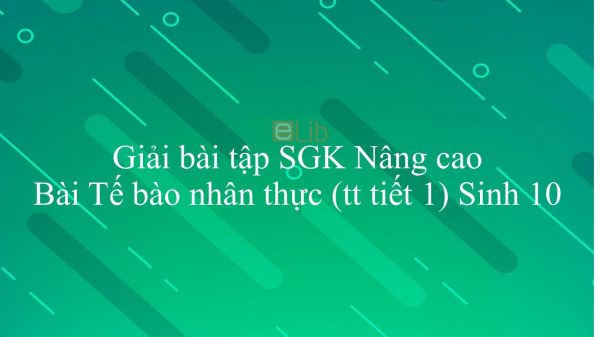 Giải bài tập SGK Sinh học 10 Nâng Cao Bài 15: Tế bào nhân thực (tiếp theo)