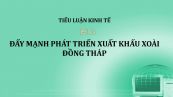 Tiểu luận: Đẩy mạnh phát triển xuất khẩu xoài Đồng Tháp