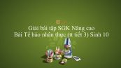 Giải bài tập SGK Sinh học 10 Nâng Cao Bài 17: Tế bào nhân thực (tiếp theo)