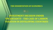 Th.D: Investment decision under uncertainty - The case of carbon taxation in developing countries