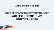 Luận văn ThS: Phát triển các nghề tiểu thủ công nghiệp ở huyện Phổ Yên, tỉnh Thái Nguyên