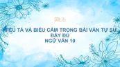 Soạn bài Miêu tả và biểu cảm trong bài văn tự sự Ngữ văn 10 đầy đủ