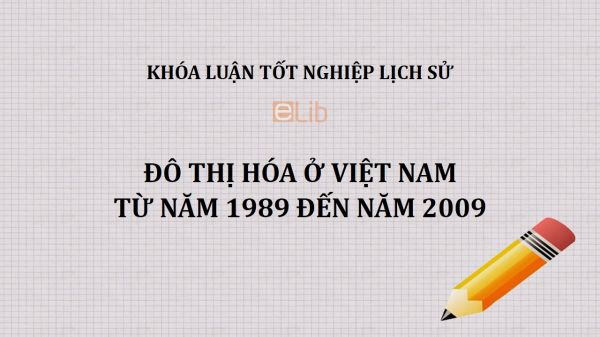 Khóa luận: Đô thị hóa ở Việt Nam từ năm 1989 đến năm 2009